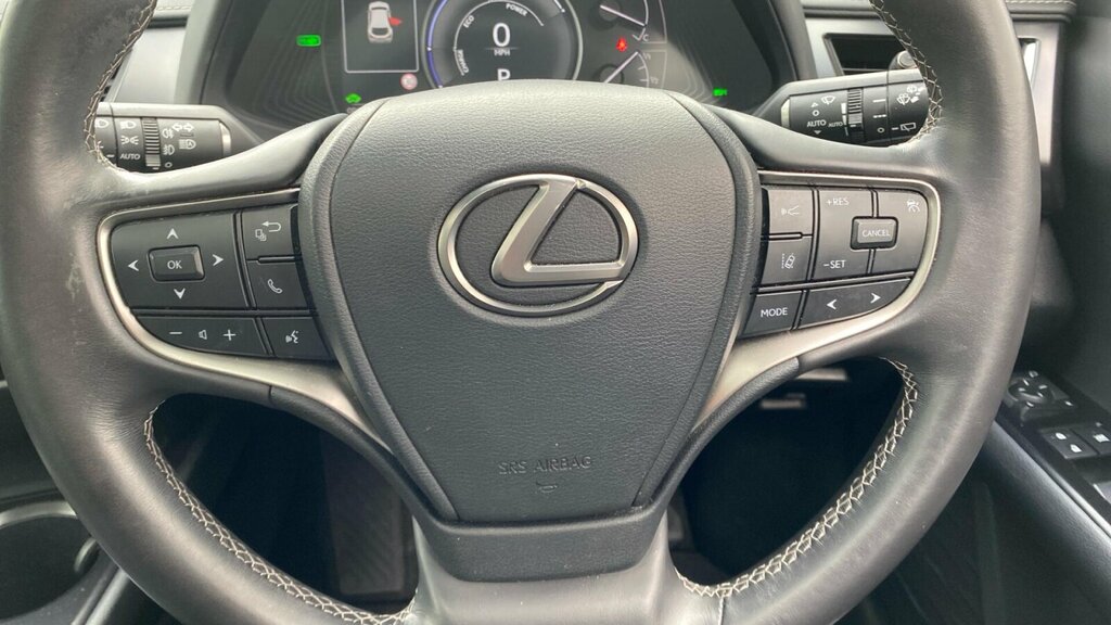 Lexus UX Ux Premium Sport Edition Grey #11