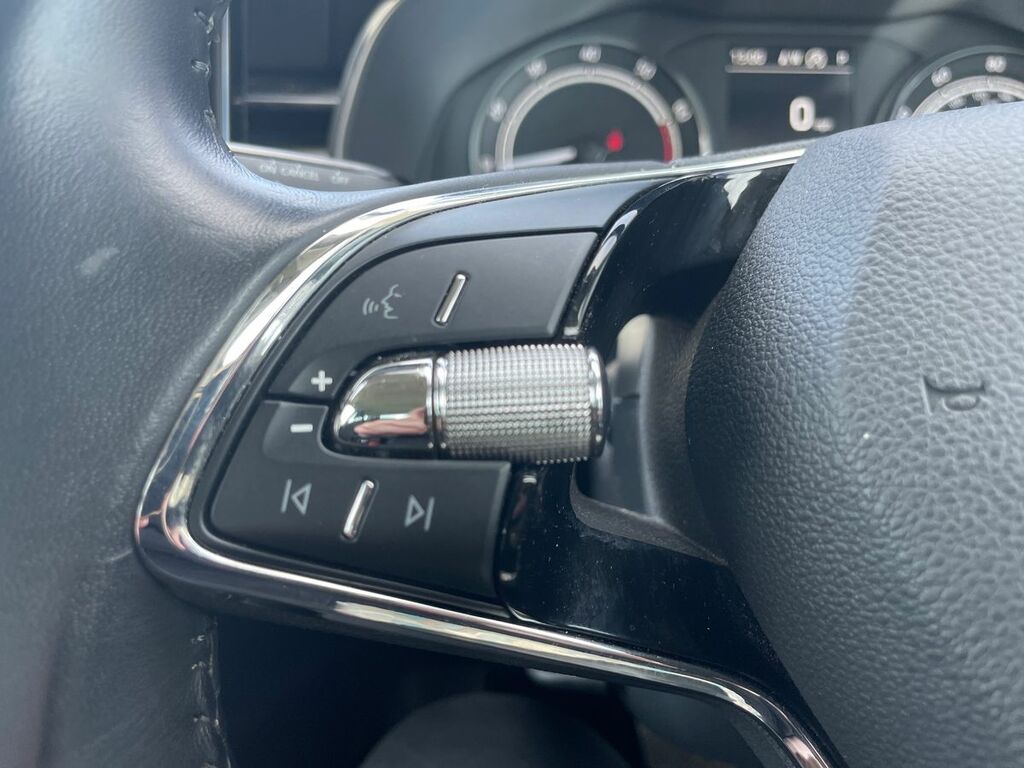 Skoda Kamiq Monte Carlo Tsi Dsg Blue #16