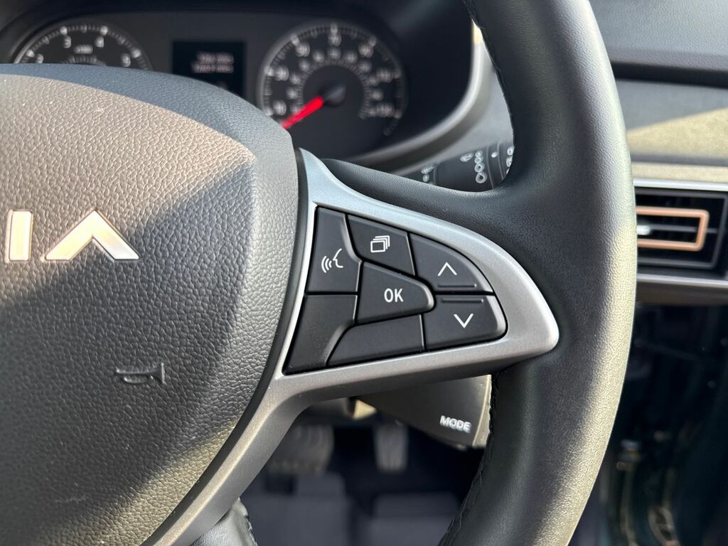 Dacia Sandero Stepway Extreme Grey #17