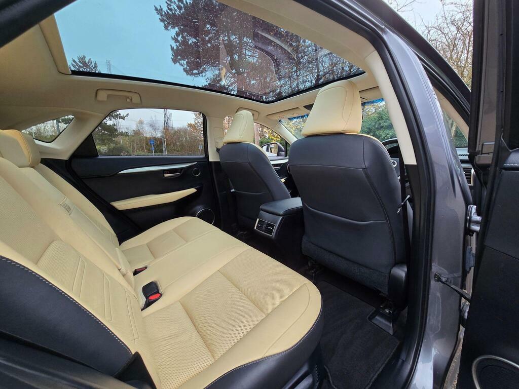 Lexus NX Suv Grey #82