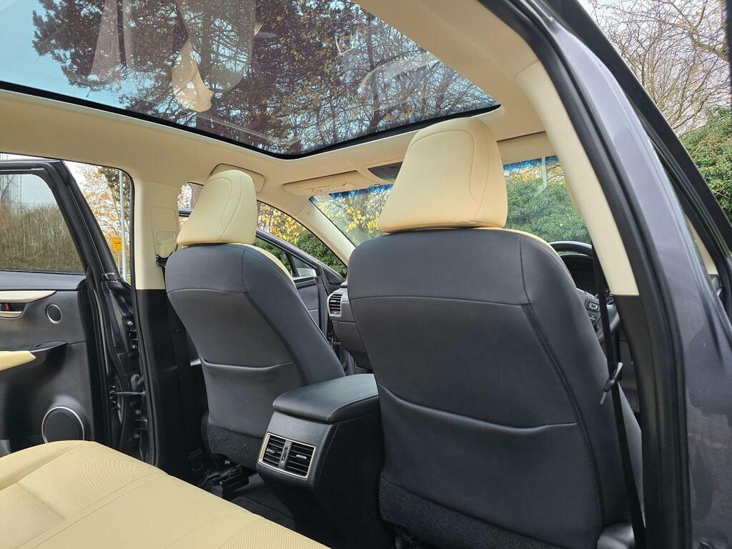 Lexus NX Suv Grey #54