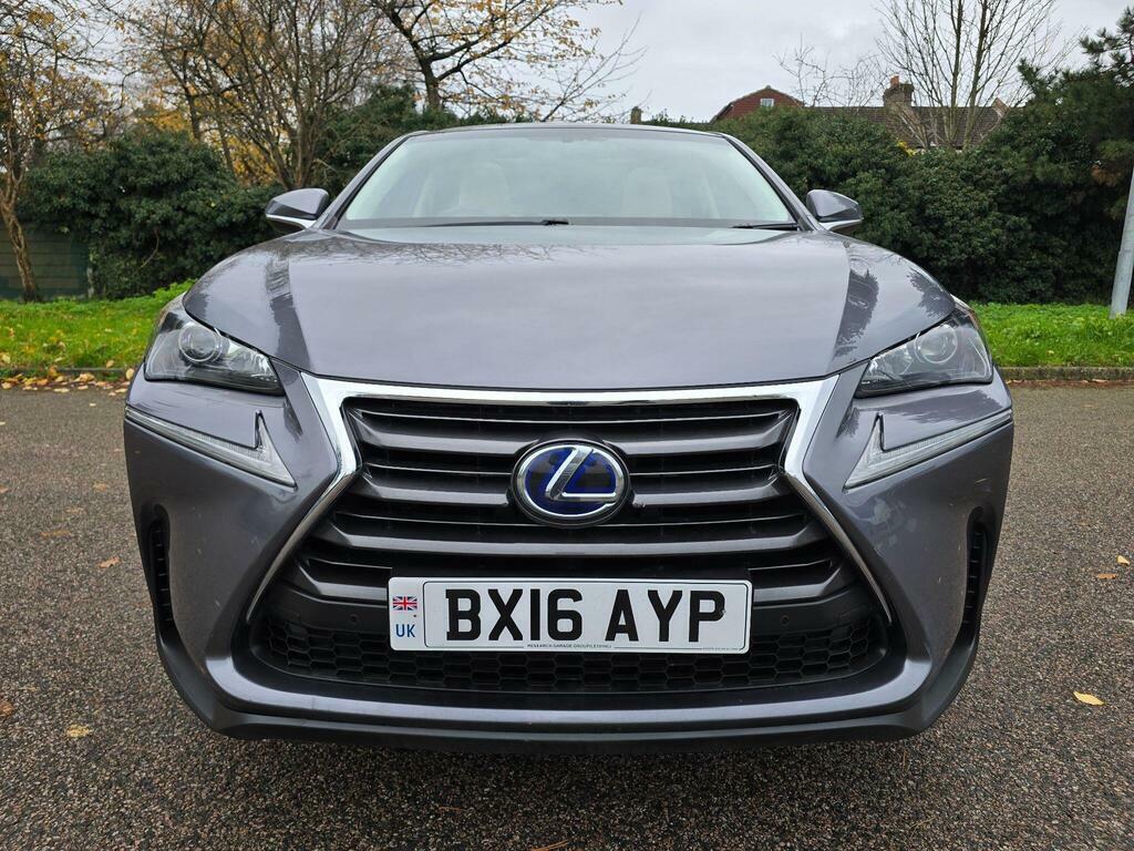Lexus NX Suv Grey #9