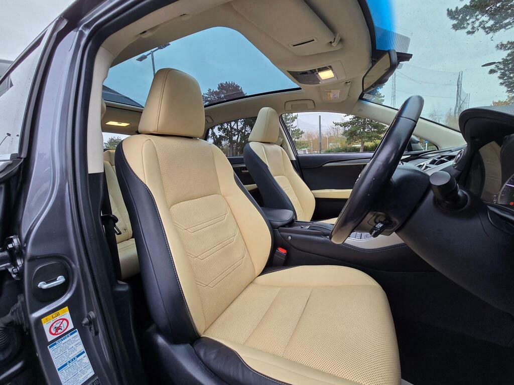 Lexus NX Suv Grey #83