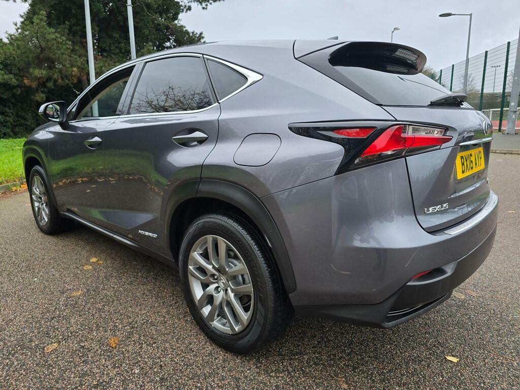 Lexus NX Suv Grey #32