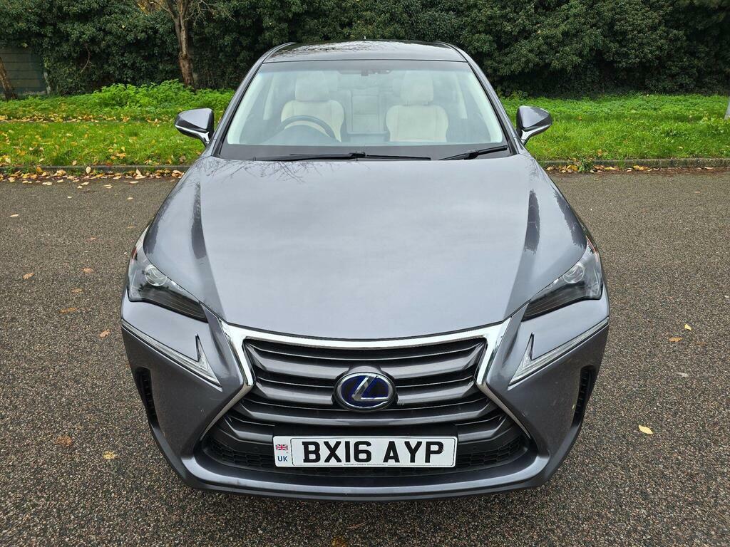Lexus NX Suv Grey #8