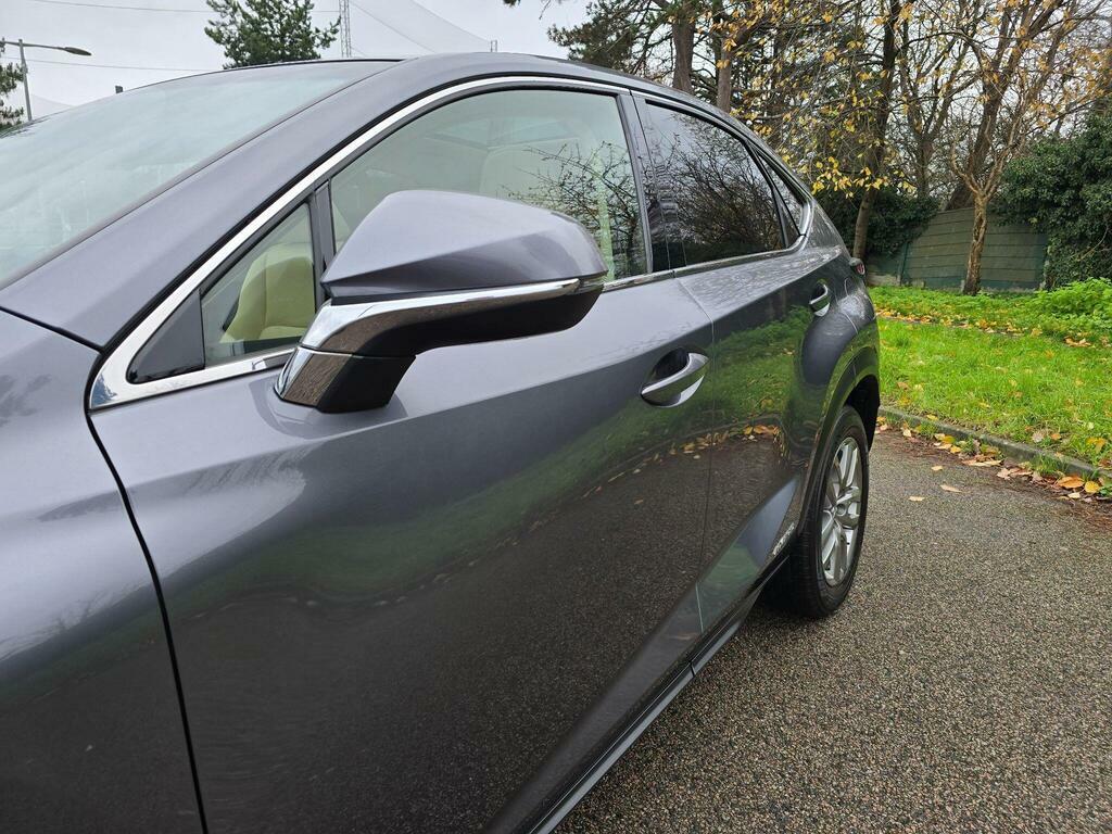 Lexus NX Suv Grey #19