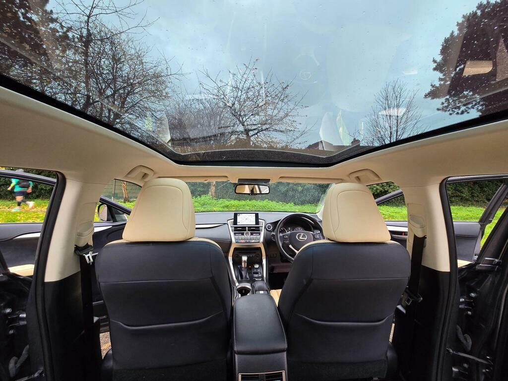 Lexus NX Suv Grey #79