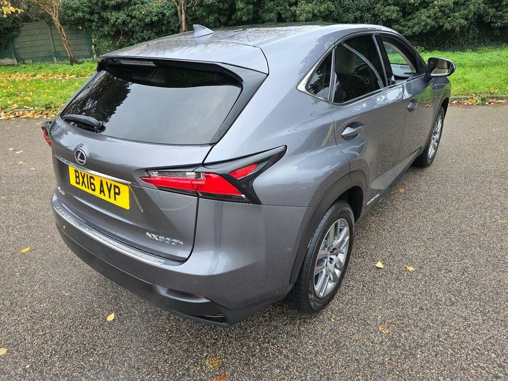 Lexus NX Suv Grey #23