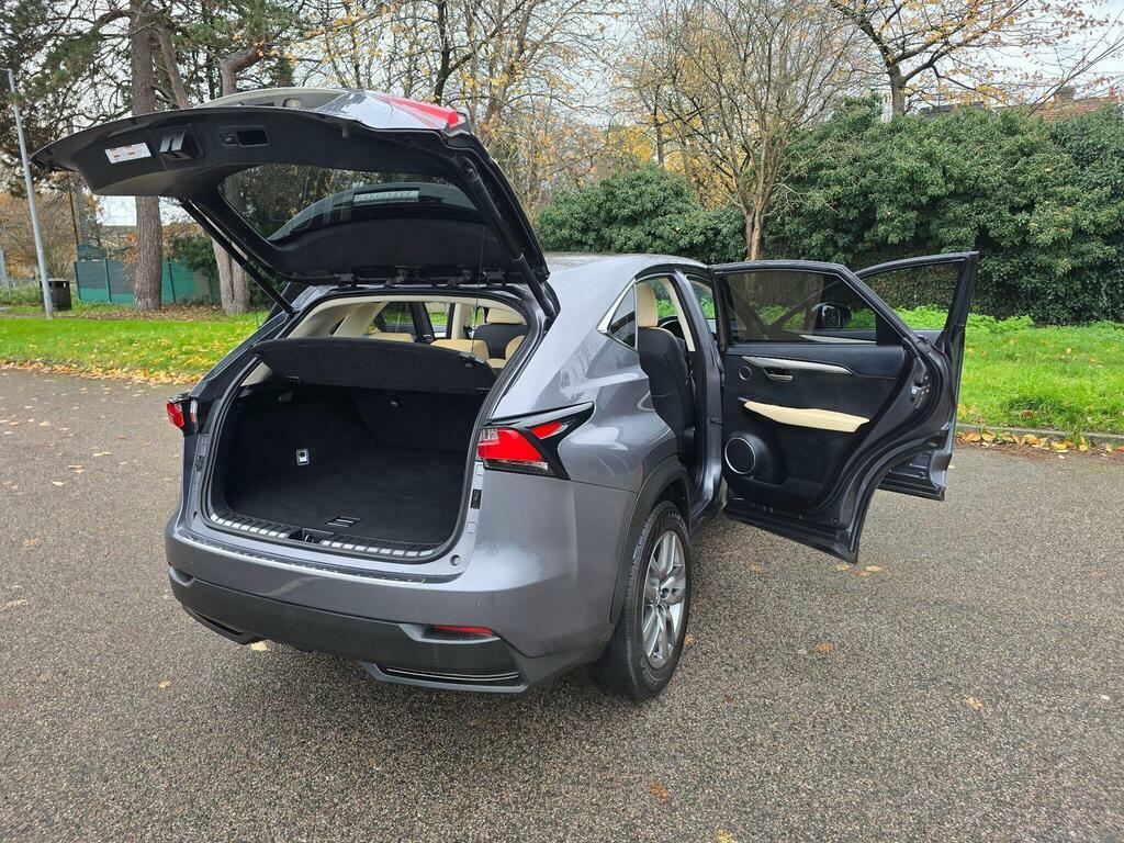 Lexus NX Suv Grey #42