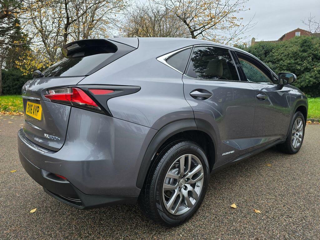 Lexus NX Suv Grey #24