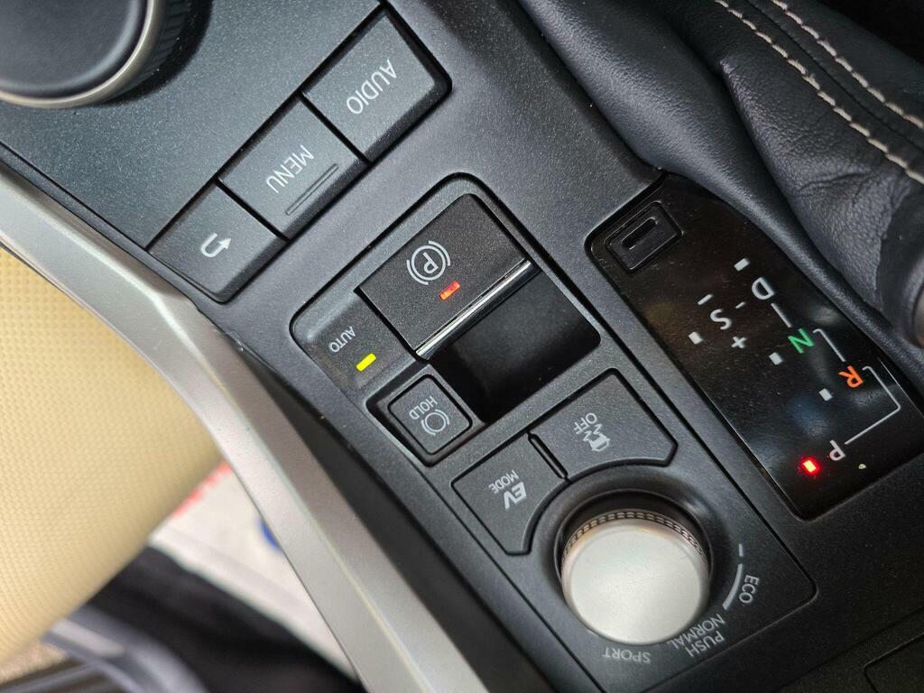 Lexus NX Suv Grey #73
