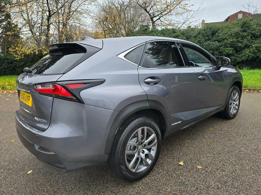 Lexus NX Suv Grey #29