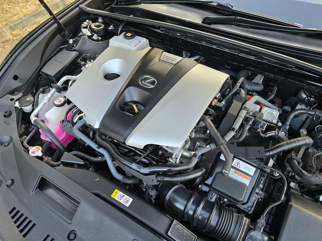 Lexus ES 300H F-sport Tech Safety Pack Black #33