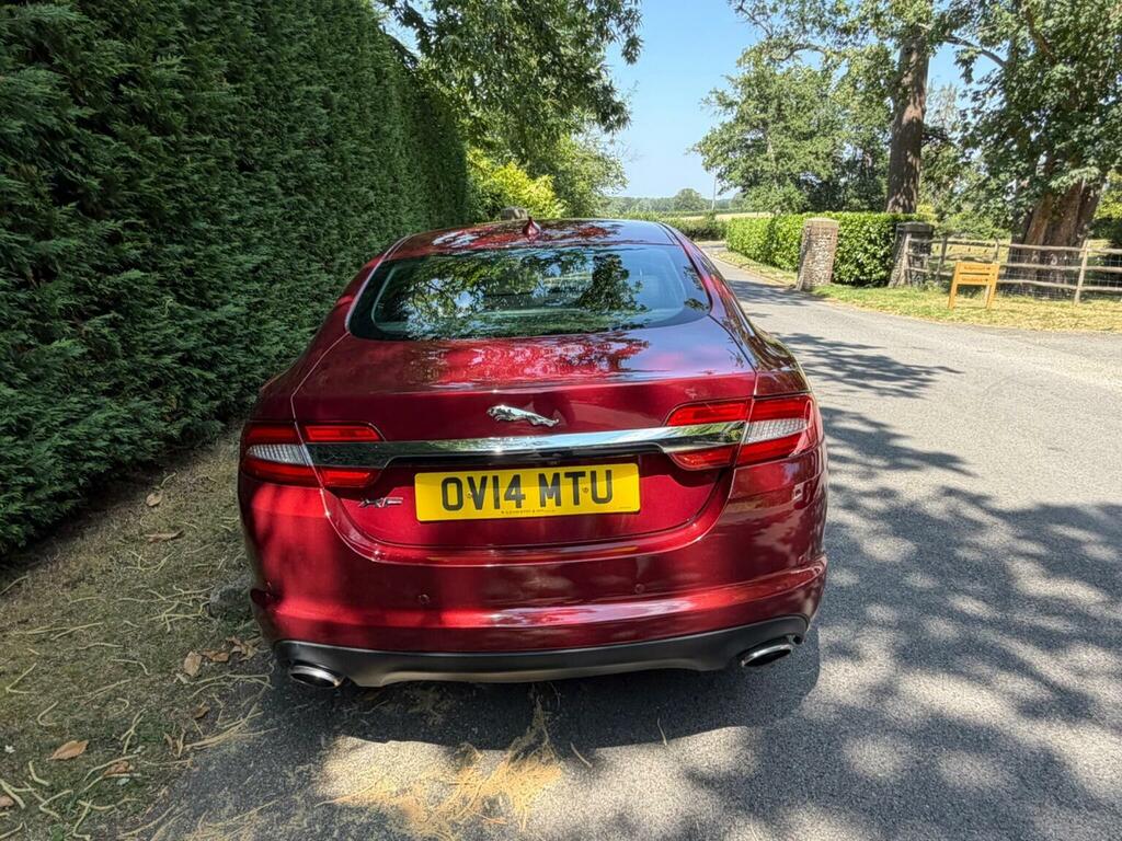 Jaguar XF 2.2D Premium Luxury Sportbrake Euro 5 Ss White #7