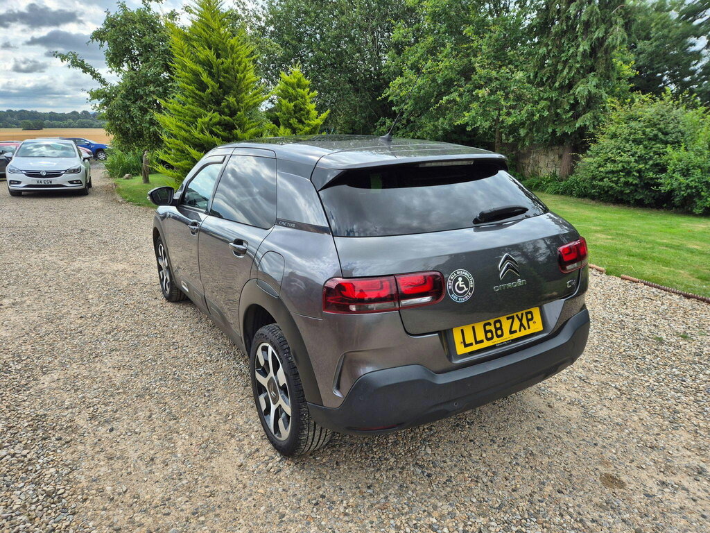 Citroen C4 Cactus 1.2 Puretech Flair Eat6 Euro 6 Ss Grey #4