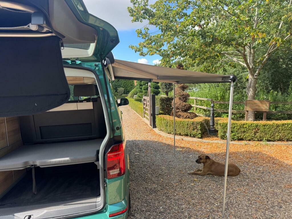 Volkswagen California 2.0 Tdi Coast Dsg Euro 6 S S Green #5