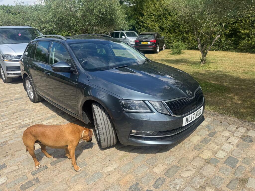 Skoda Octavia 1.4 Tsi Se L Dsg Euro 6 S S Grey