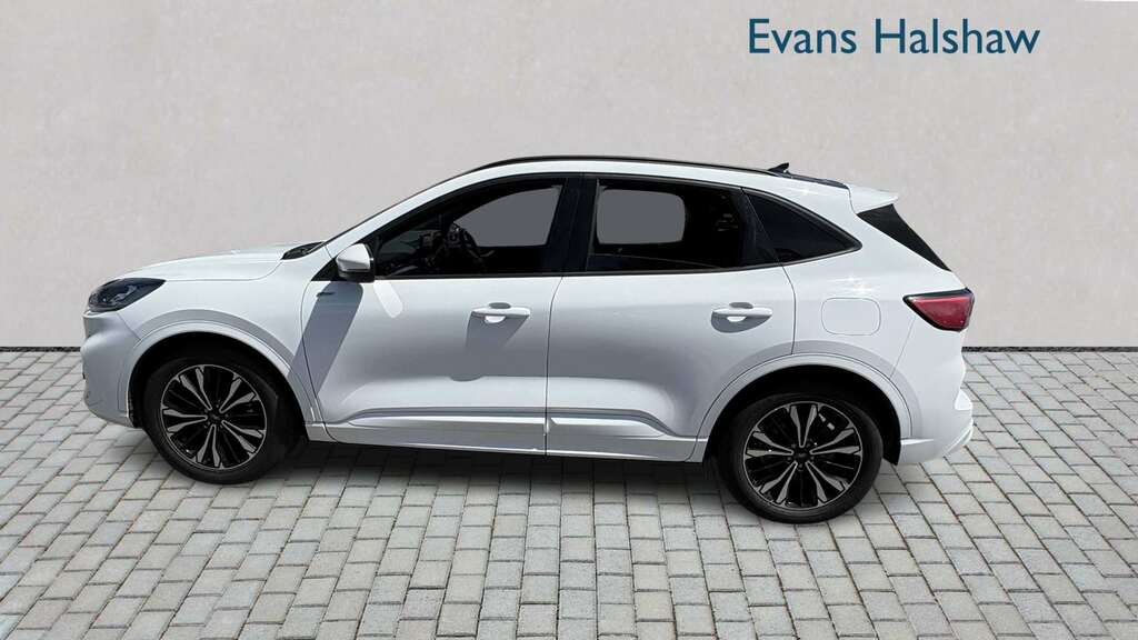 Ford Kuga 1.5 Ecoboost 150 St-line X Edition 2023 White