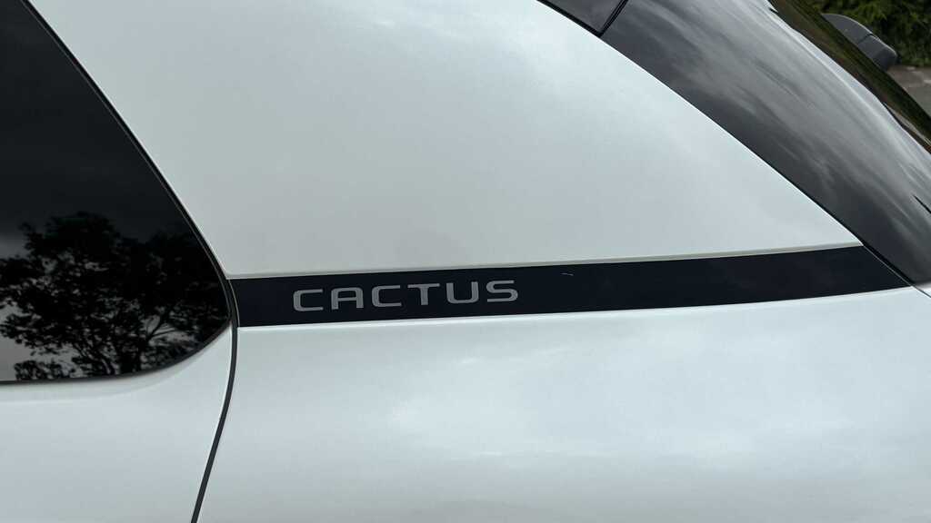 Citroen C4 Cactus 1.5 Bluehdi Flair Euro 6 Ss Black #12