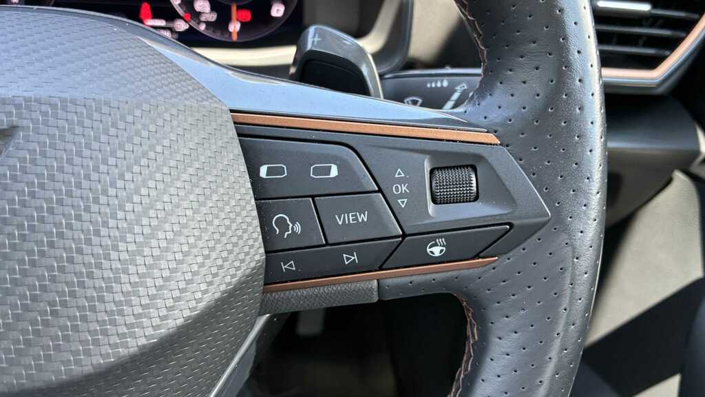 Cupra Formentor 2.0 Tsi 333Ps Vz2 Dsg 4Drive Grey #31
