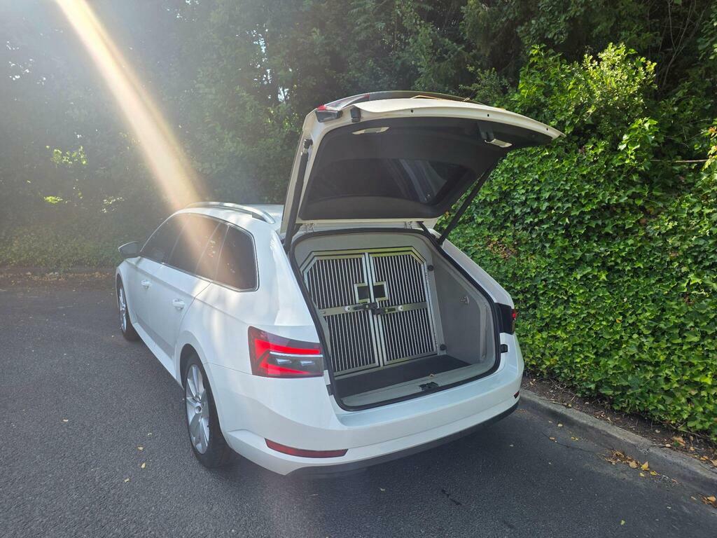 Skoda Superb 2.0 Tdi Se L Dsg 4Wd Euro 6 S S White #3