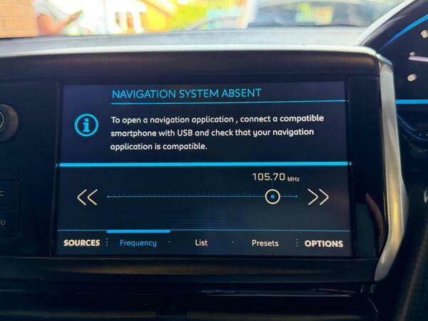 Peugeot 2008 Active Grey #19