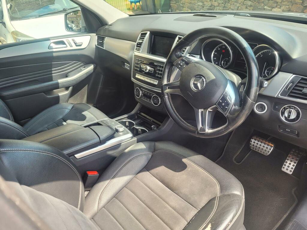 Mercedes-Benz M Class Sport Black #13
