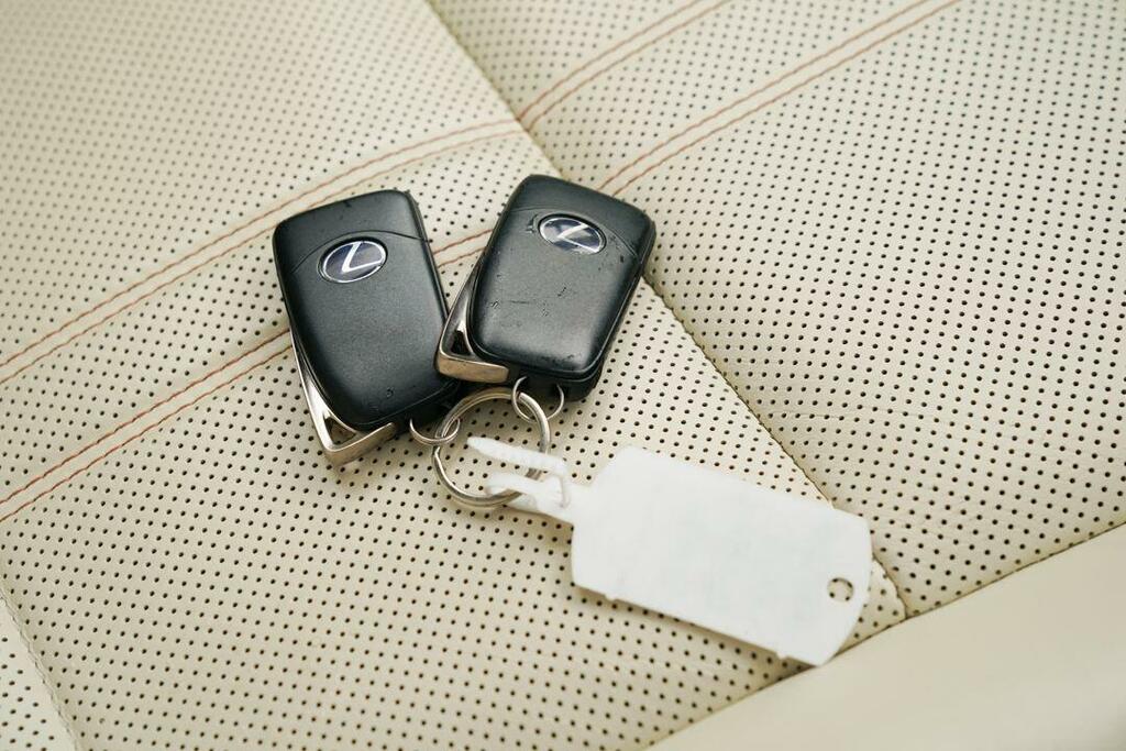 Lexus RX 3.5 450H V6 Takumi E-cvt 4Wd Euro 6 Ss Red #27