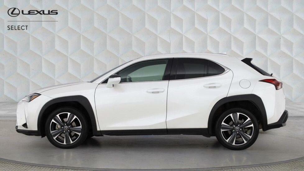 Lexus UX 300H Premium Plus White #5