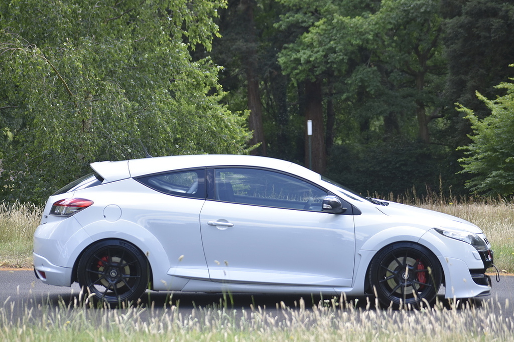 Renault Megane 1.6 16V I Music Euro 5 Silver #11