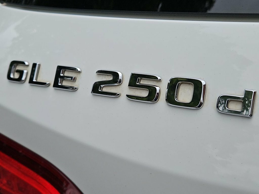 Mercedes-Benz GLE Class 2.1 Gle 250 D 4Matic Amg Night Edition Premium Plu Black #27