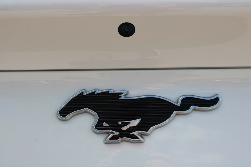 Ford Mustang Mach-E 258Kw Extended Range 88Kwh Awd White #4