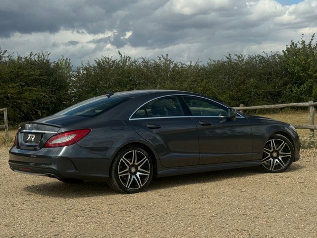 Mercedes-Benz CLS 2.1 Cls220 D Amg Grey #20