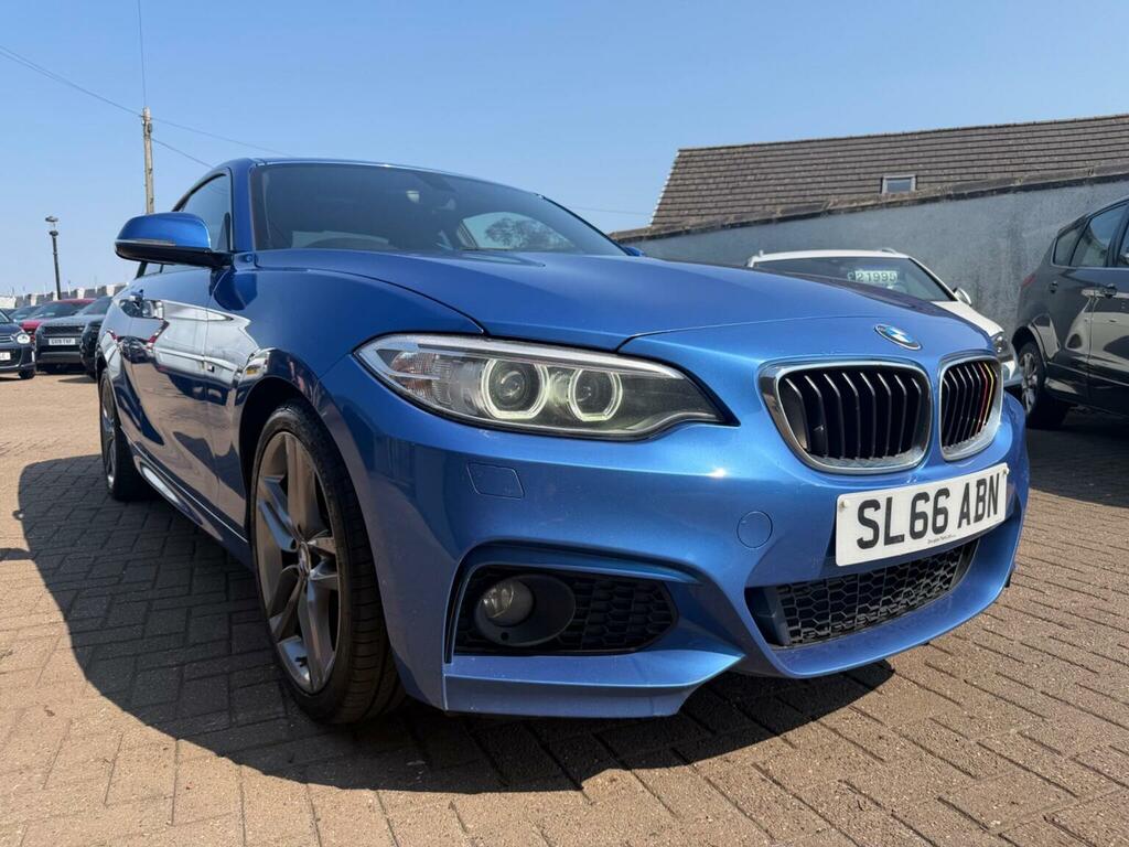 BMW 2 Series 2.0 218D M Sport Euro 6 Ss Blue #2