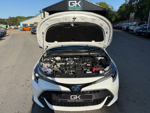 Toyota Corolla Icon Silver #53