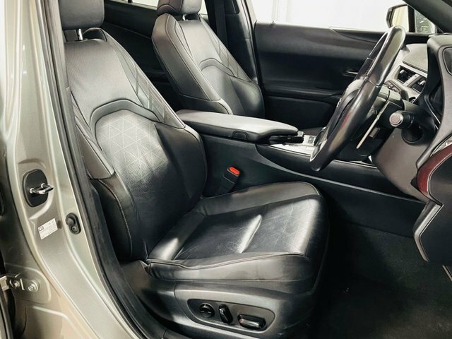 Lexus UX F-sport Black #18