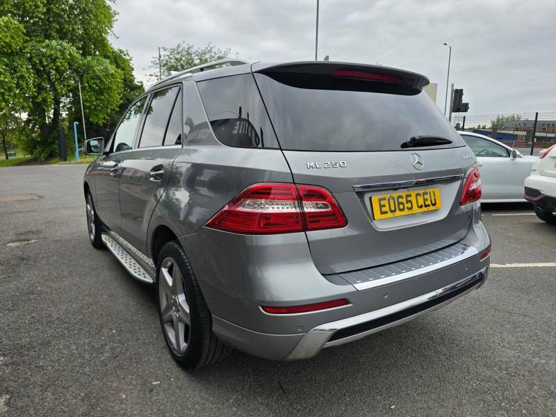 Mercedes-Benz M Class 2.1 Ml250 Bluetec Amg Line G-tronic 4Wd Euro 6 S EO65CEU Silver #5