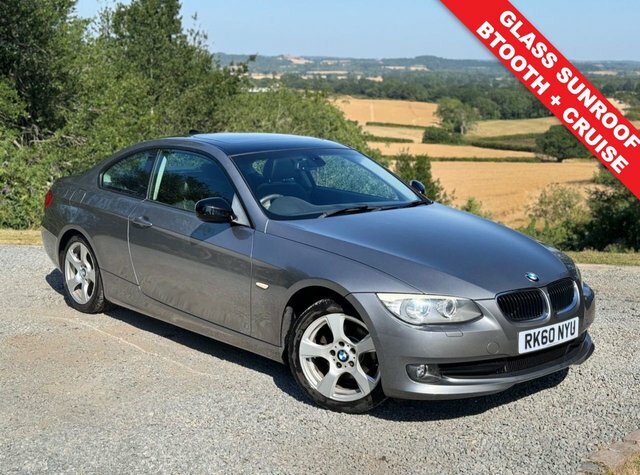 BMW 3 Series 318I Se Coupe Grey
