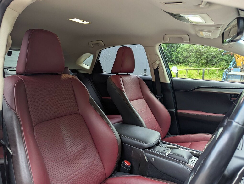 Lexus NX 2.5 300H F Sport Suv Hybrid E-cvt 4Wd E Red #8
