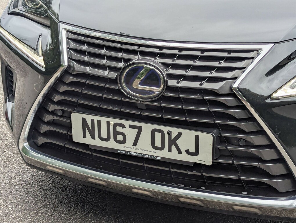 Lexus NX 2.5 300H F Sport Suv Hybrid E-cvt 4Wd E Red #18