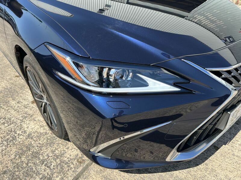 Lexus ES 300H Premium Edition #19