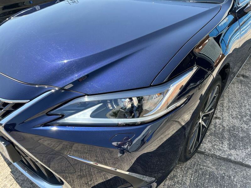 Lexus ES 300H Premium Edition #22