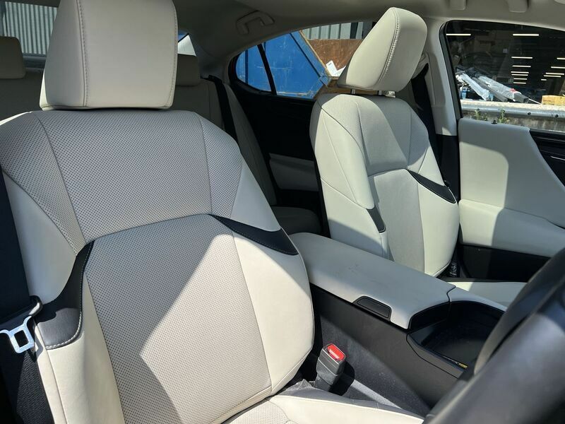 Lexus ES 300H Premium Edition #33
