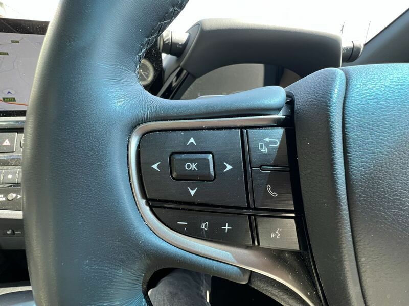 Lexus ES 300H Premium Edition #42