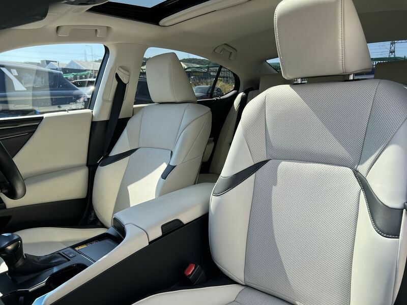 Lexus ES 300H Premium Edition #32
