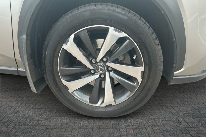 Lexus NX 2.5 300H Premier Suv Hybrid E-cvt 4Wd FG18OMD Grey #5
