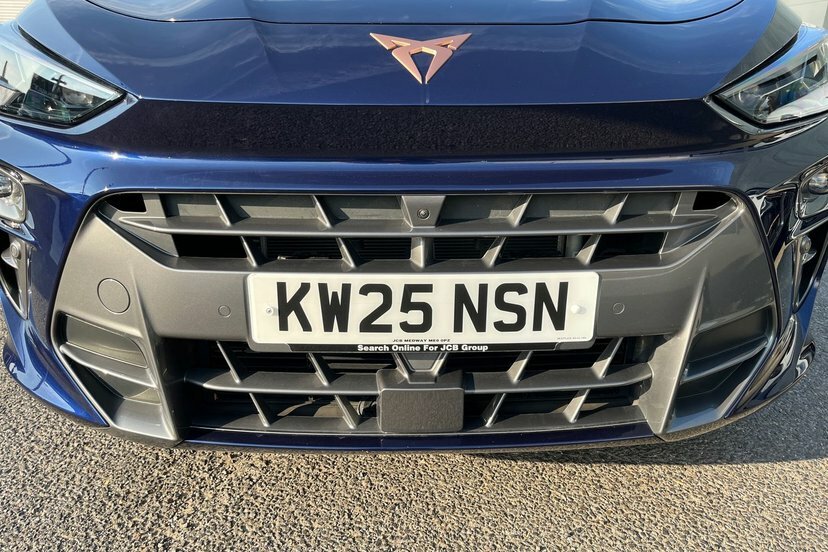 Cupra Terramar 1.5 Etsi 150 V2 Dsg Purple #18