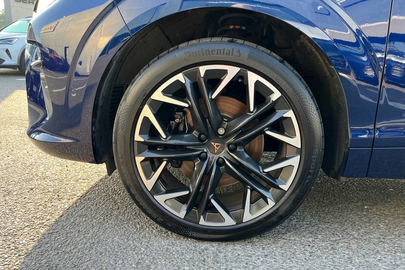 Cupra Terramar 1.5 Etsi 150 V2 Dsg Purple #14
