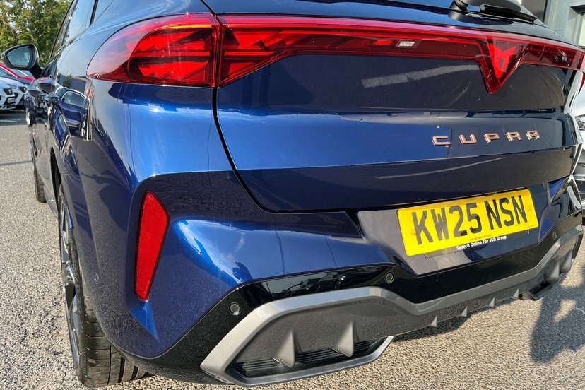 Cupra Terramar 1.5 Etsi 150 V2 Dsg Purple #22