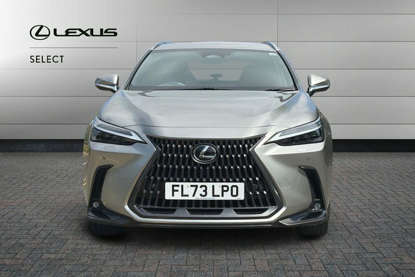 Lexus NX Suv White #7